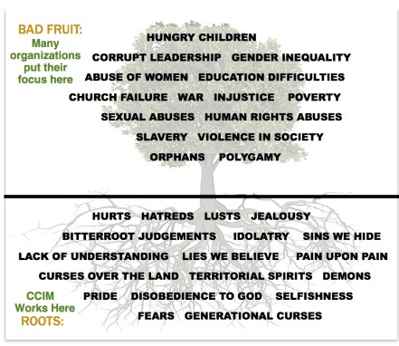 CCIM at the roots - Version 2